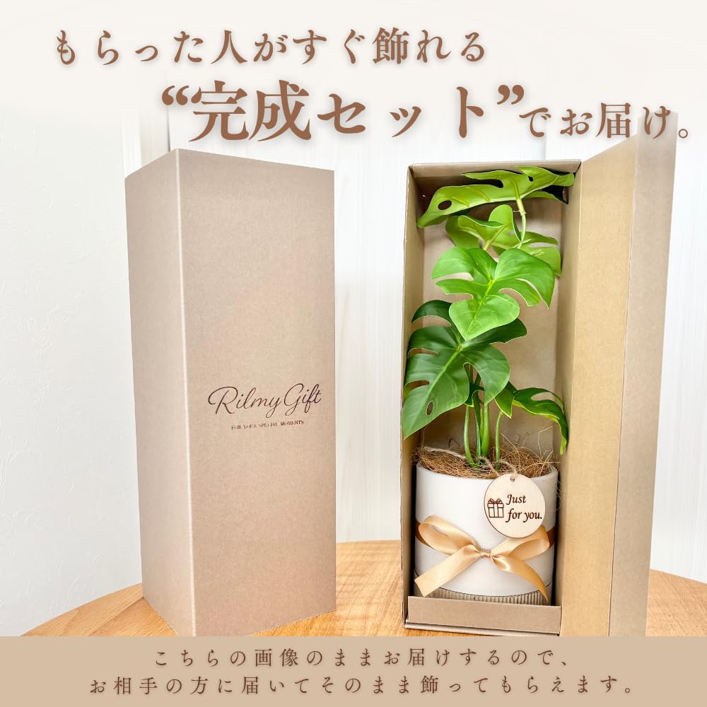 Amazon｜Rilmy（リルミー）観葉植物 フェイクグリーン 卓上 ギフト